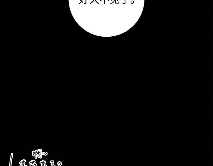 第243页