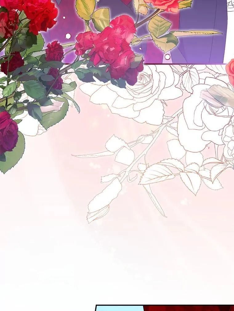 第342页