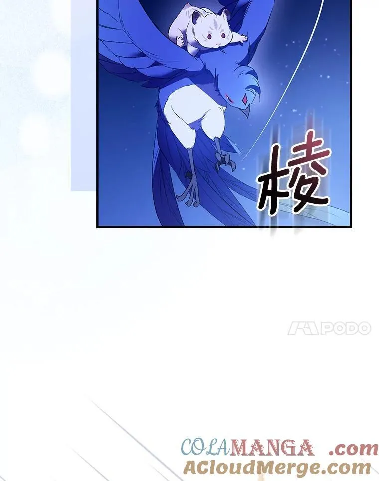 第216页
