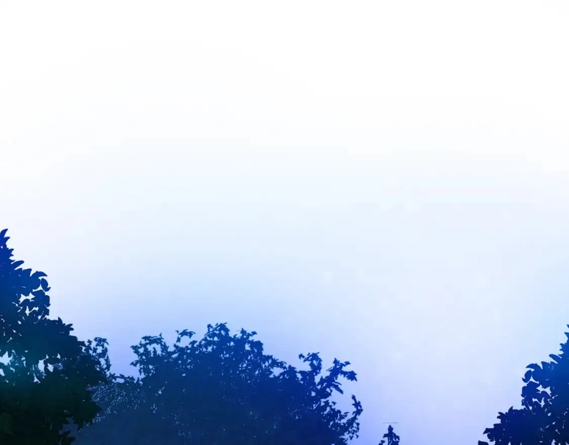 第525页