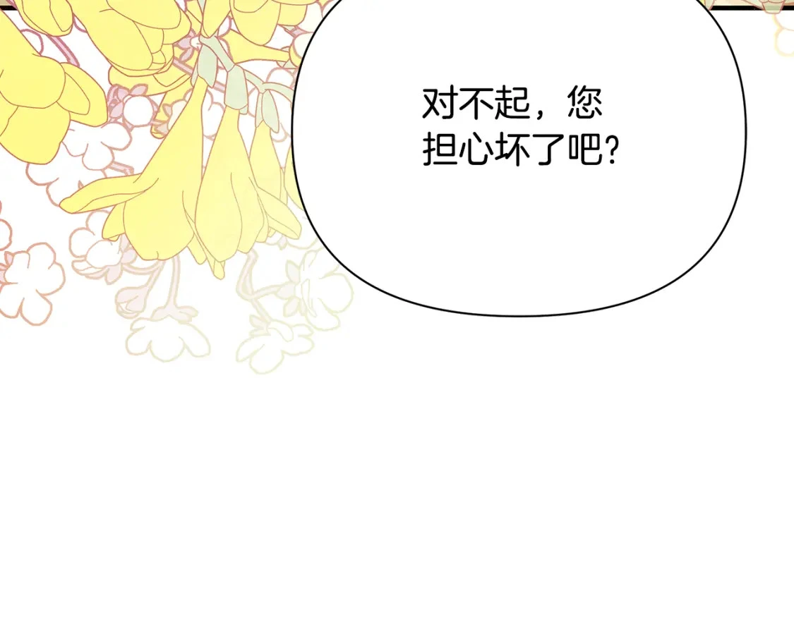 第507页