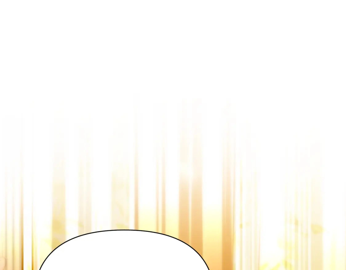 第558页