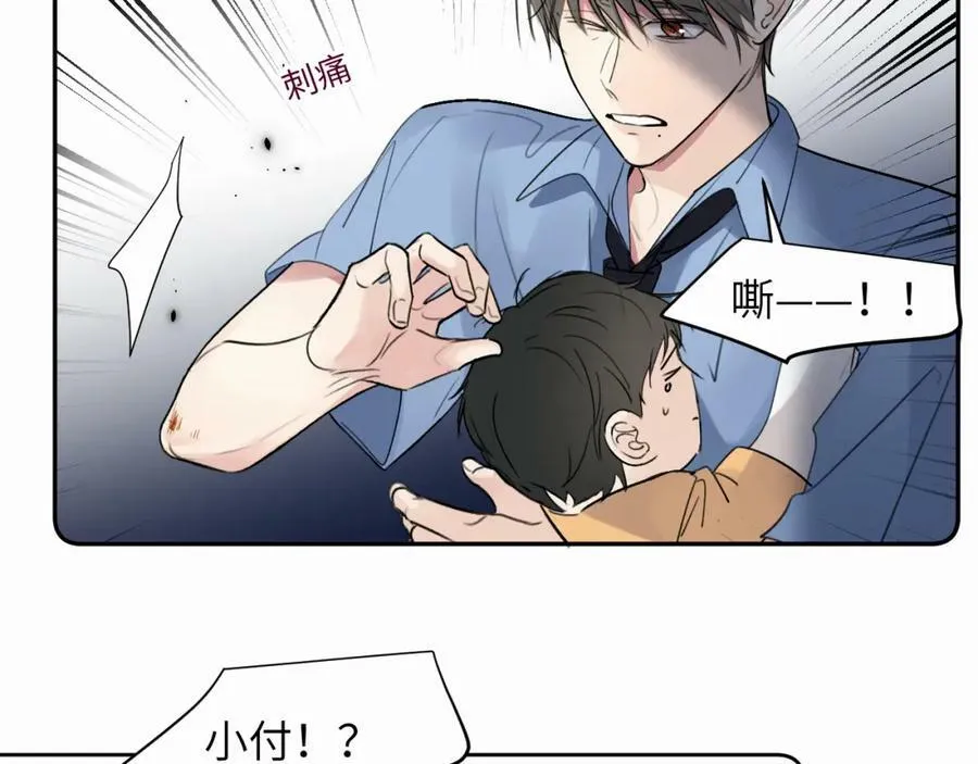 第243页