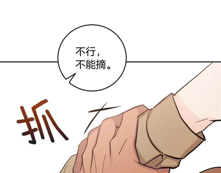 第282页