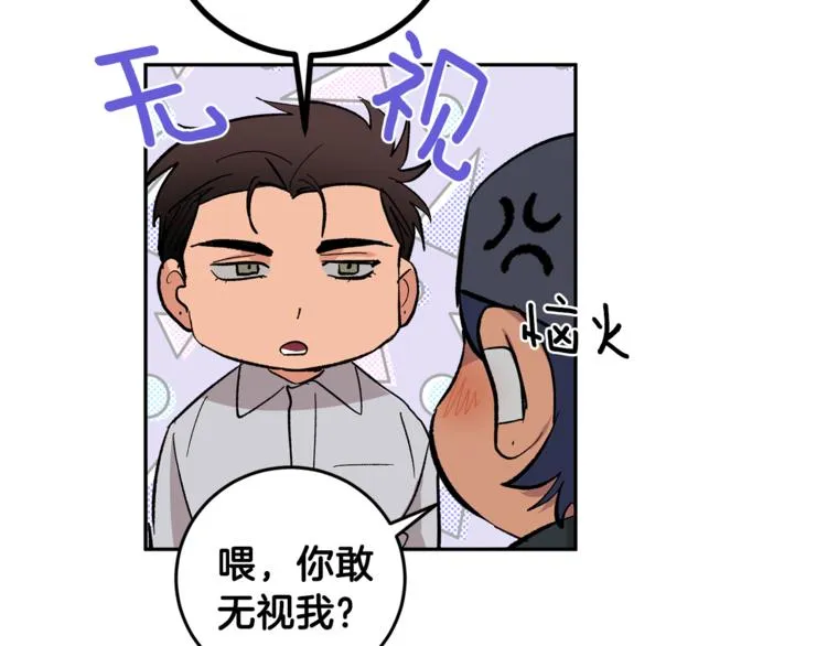 第231页