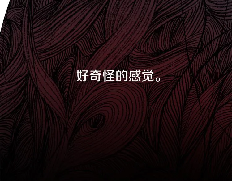 第255页