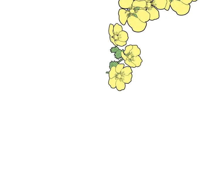 第282页