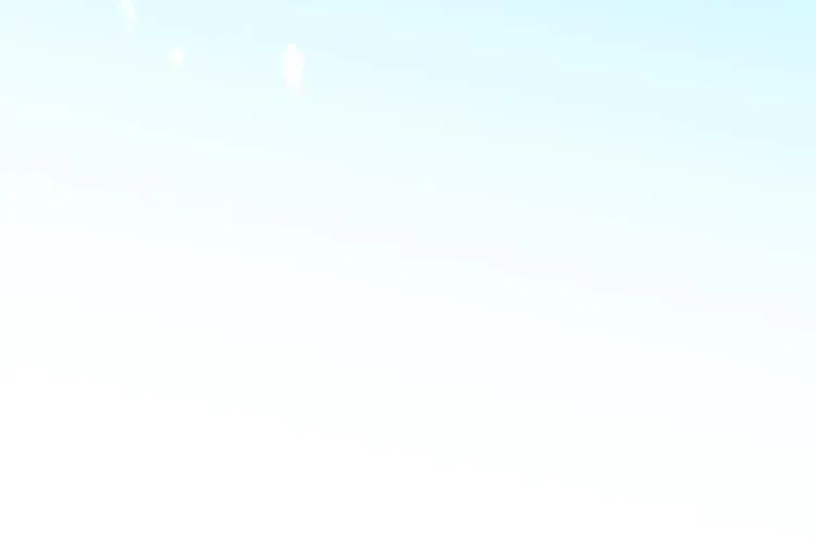 第417页