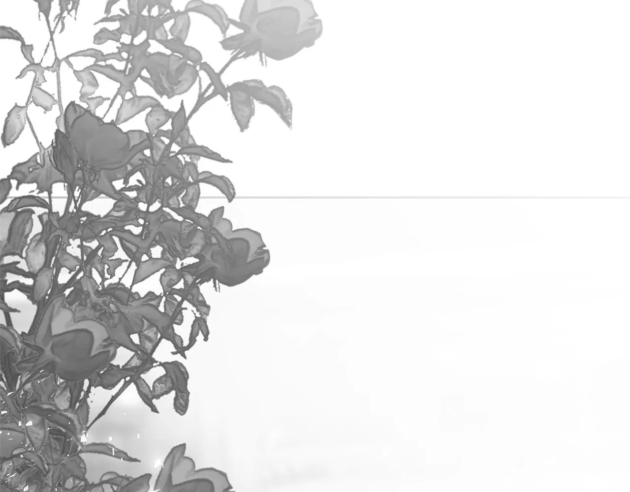 第276页