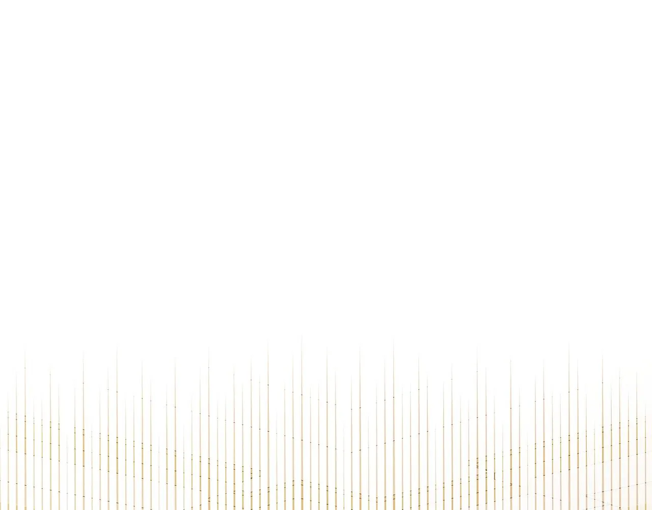第585页