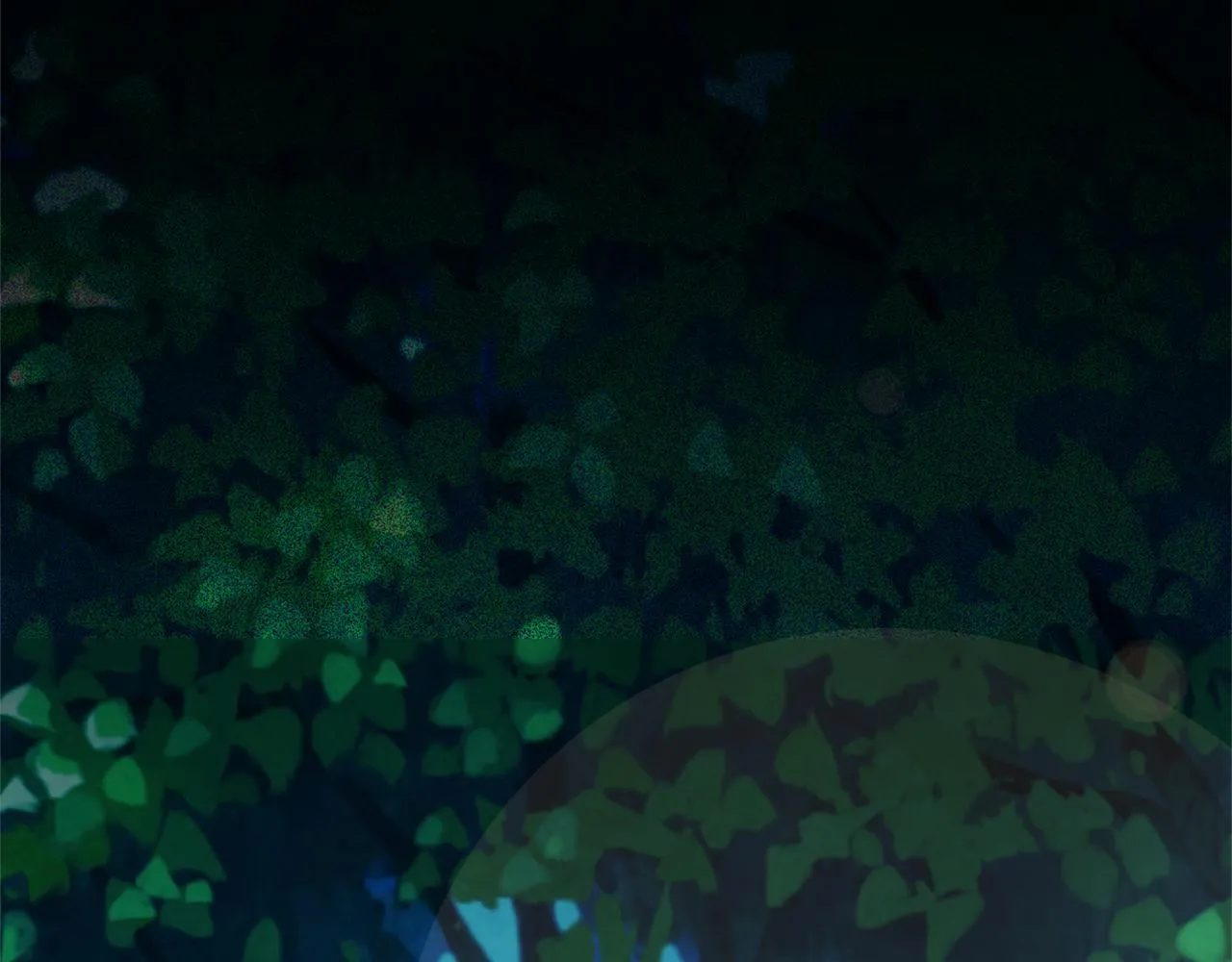 第246页