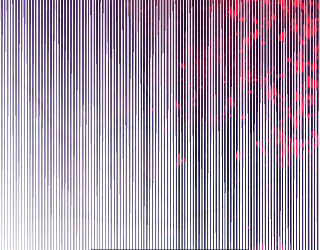 第402页