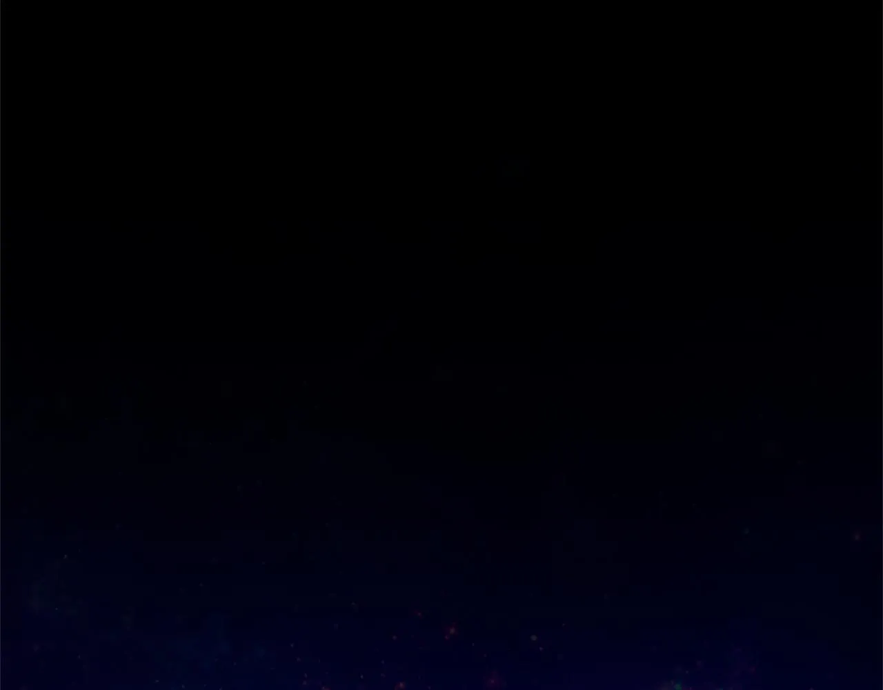 第294页