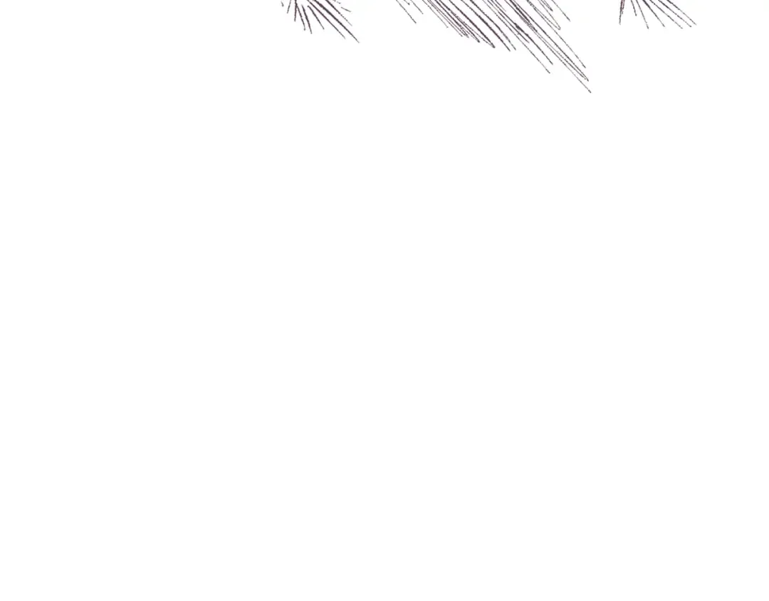 第408页