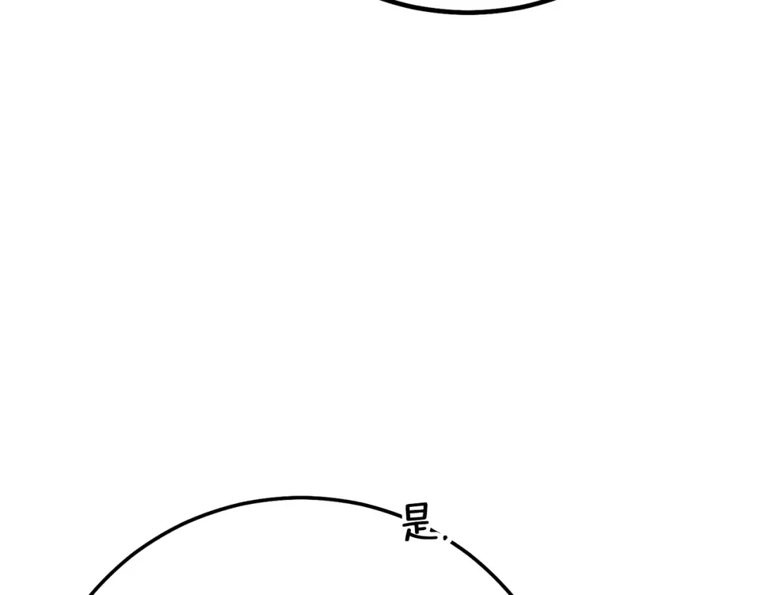 第567页