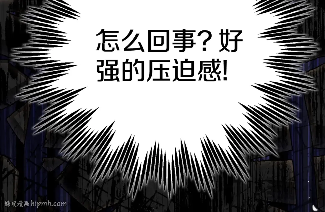 第333页