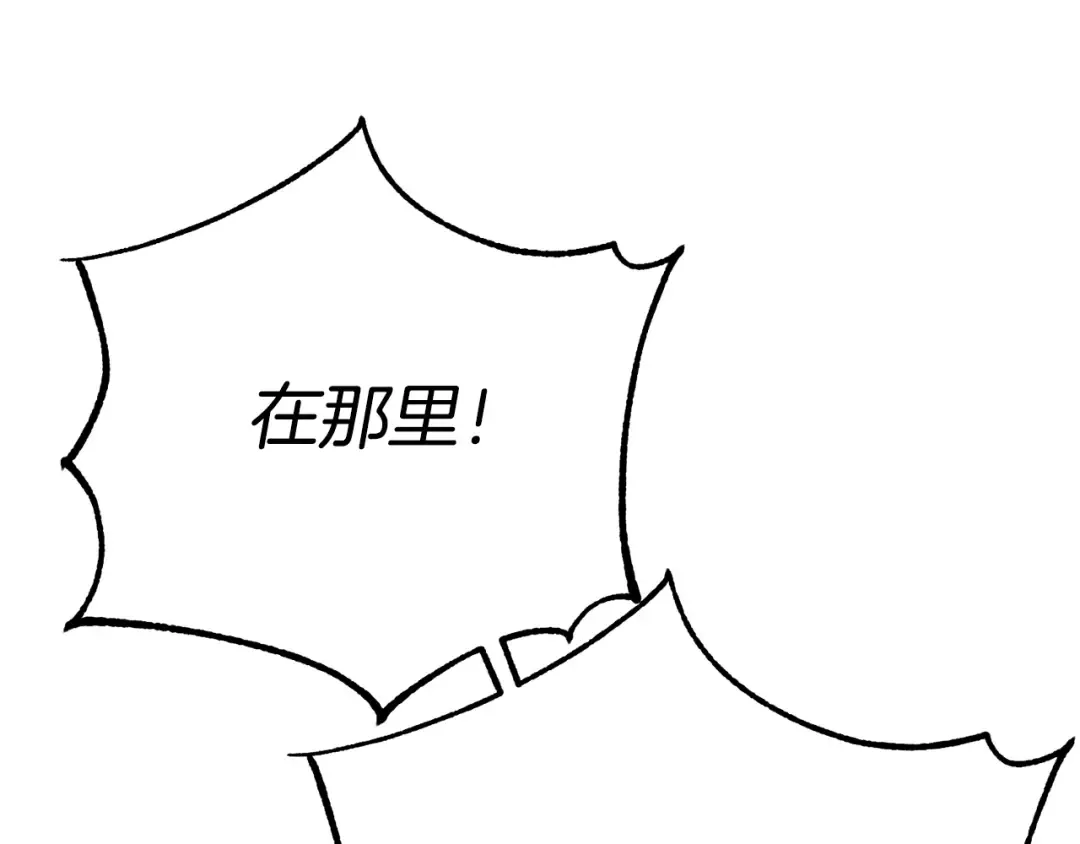第543页