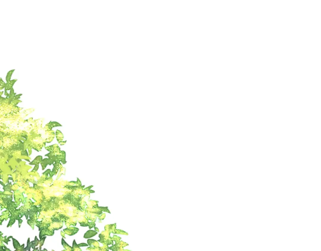 第231页