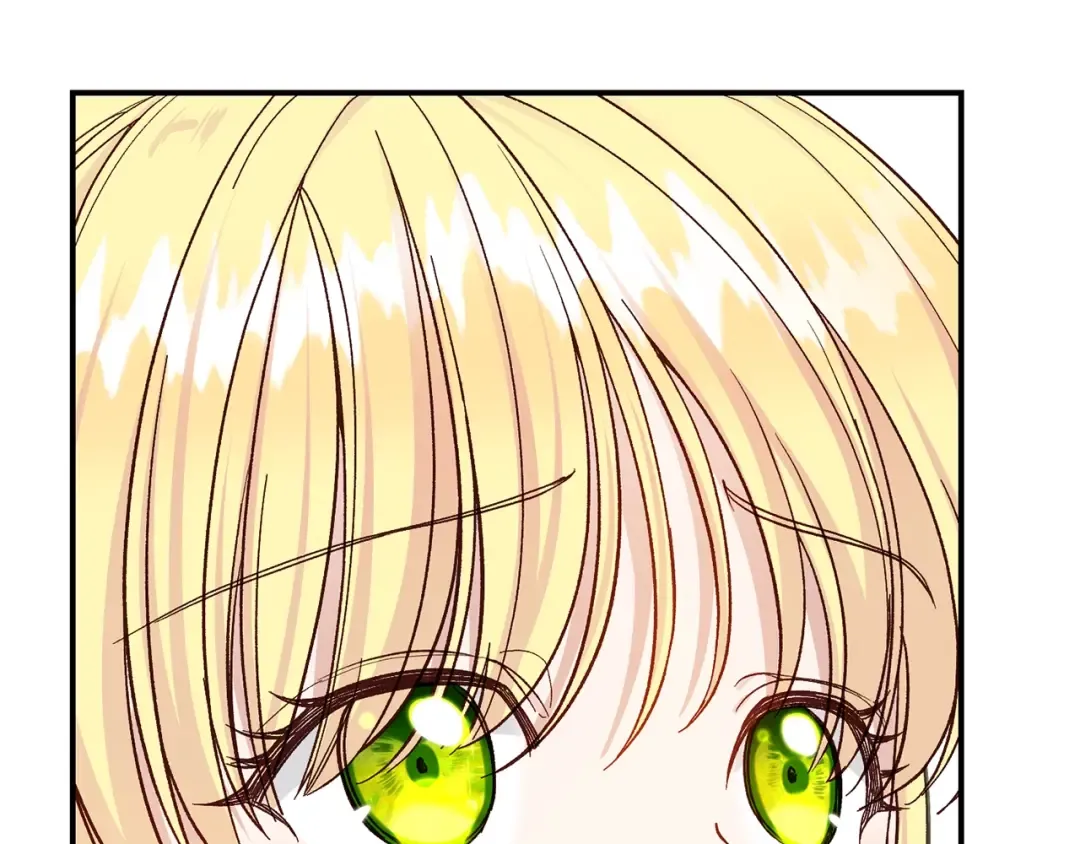 第543页