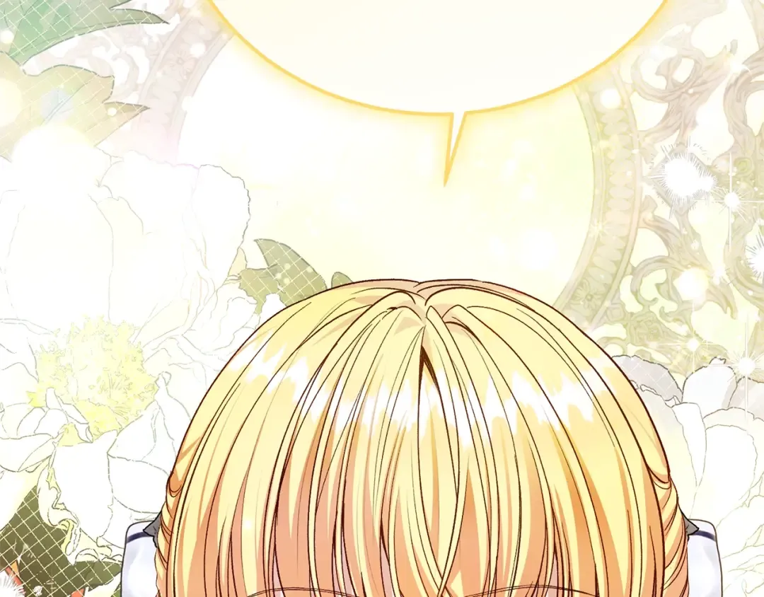 第567页
