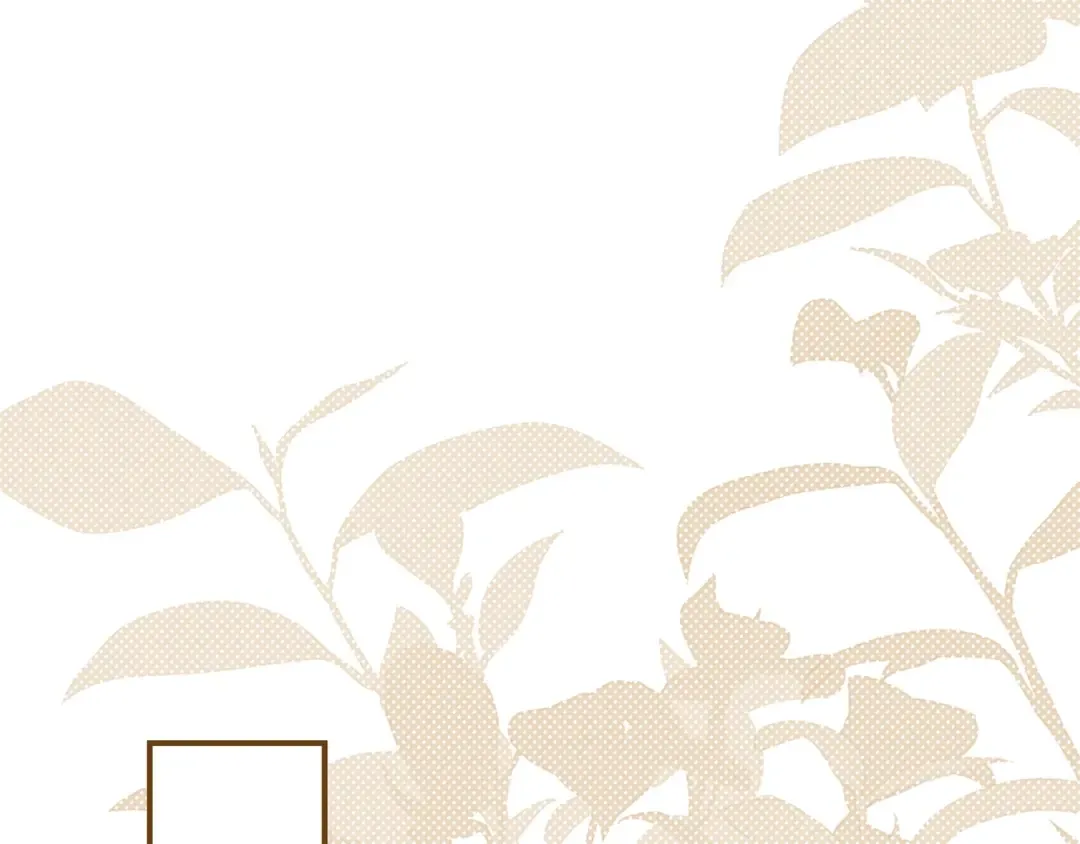 第228页