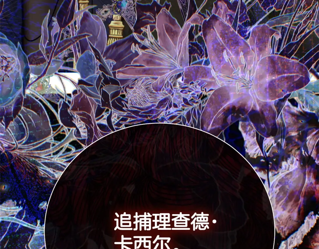第567页