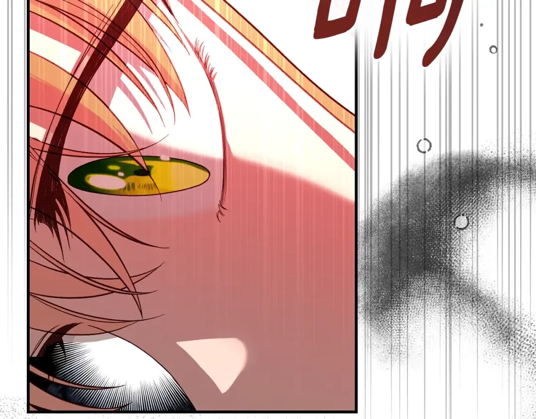 第249页