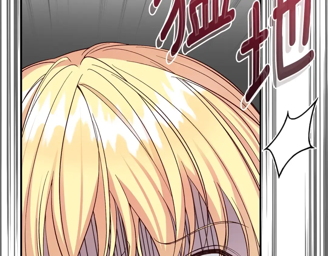 第384页