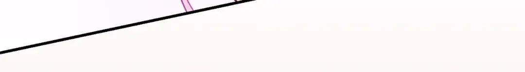 第513页