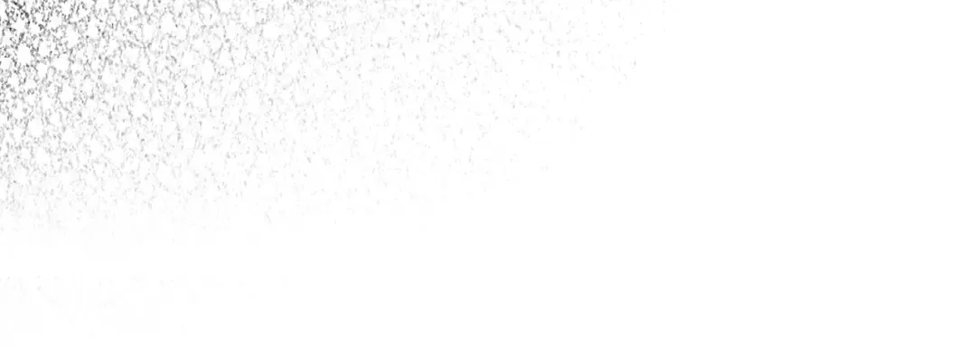 第525页