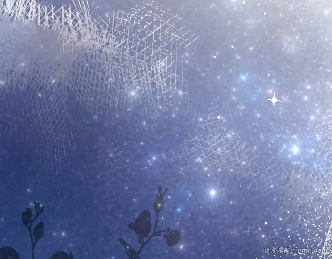 第213页