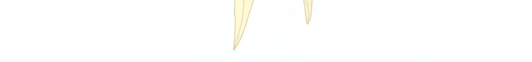 第507页