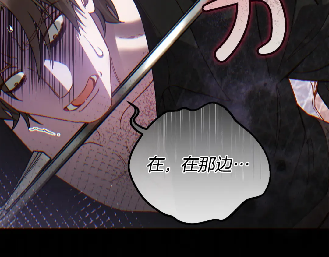 第411页