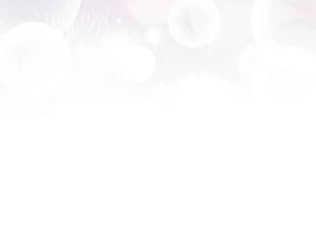 第243页