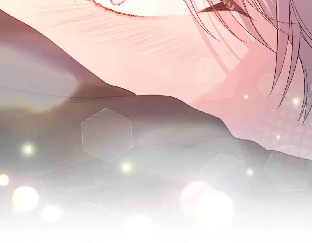 第531页