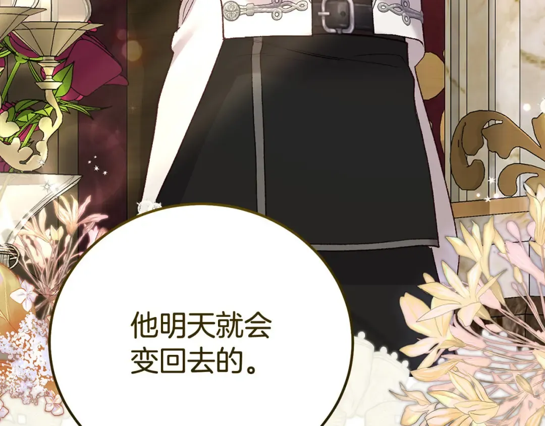 第243页
