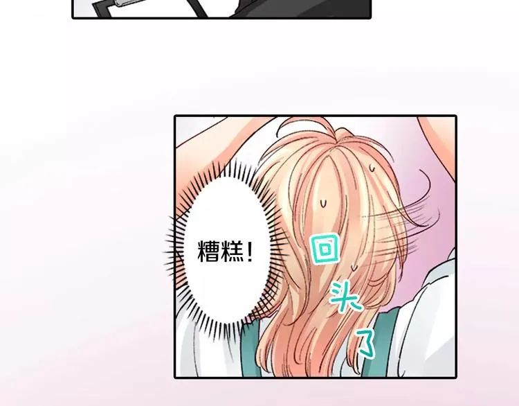第204页