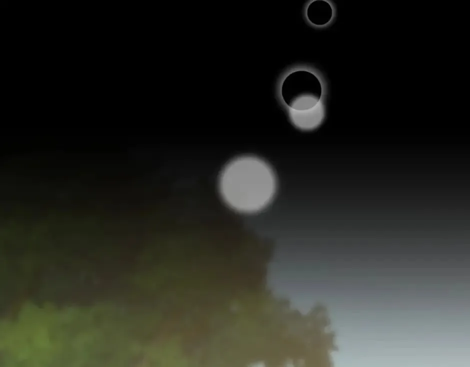 第384页