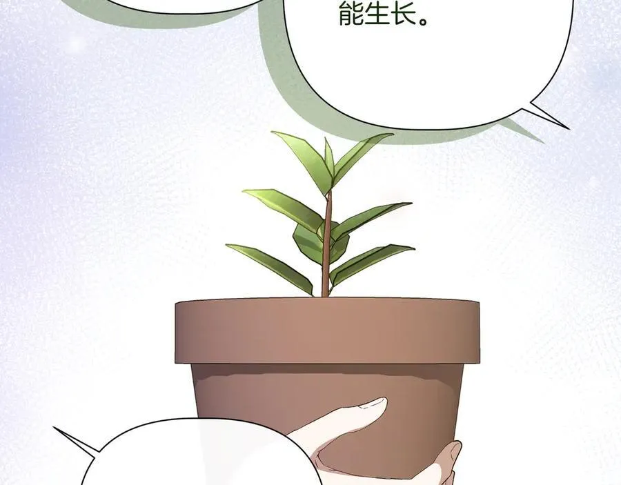 第255页