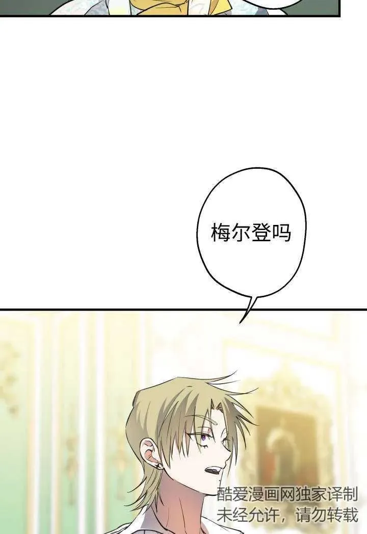 第219页