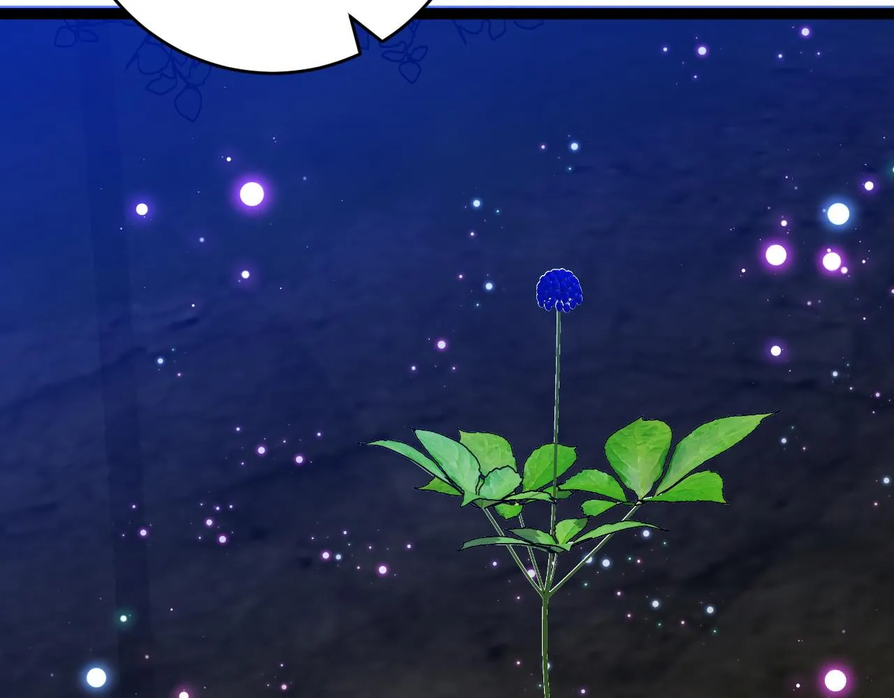 第255页