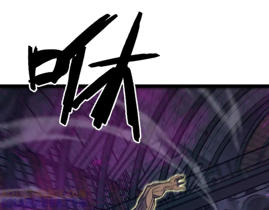 第216页