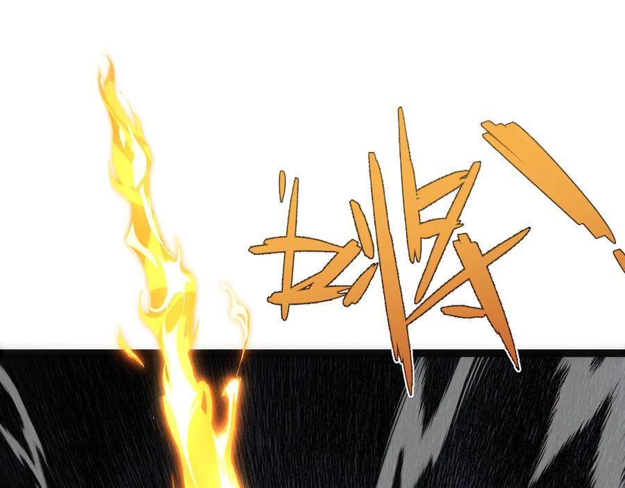 第411页