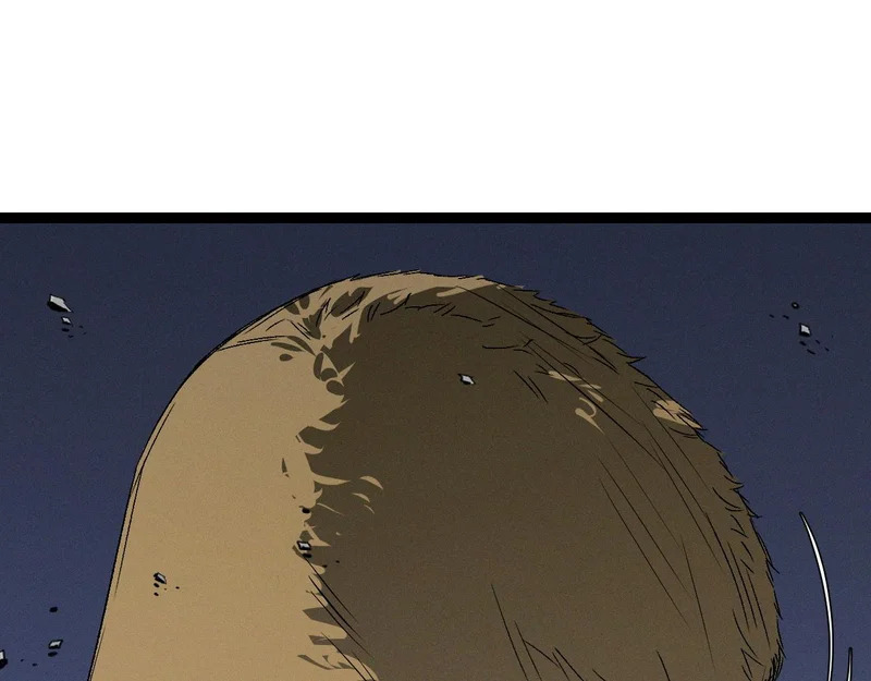 第210页