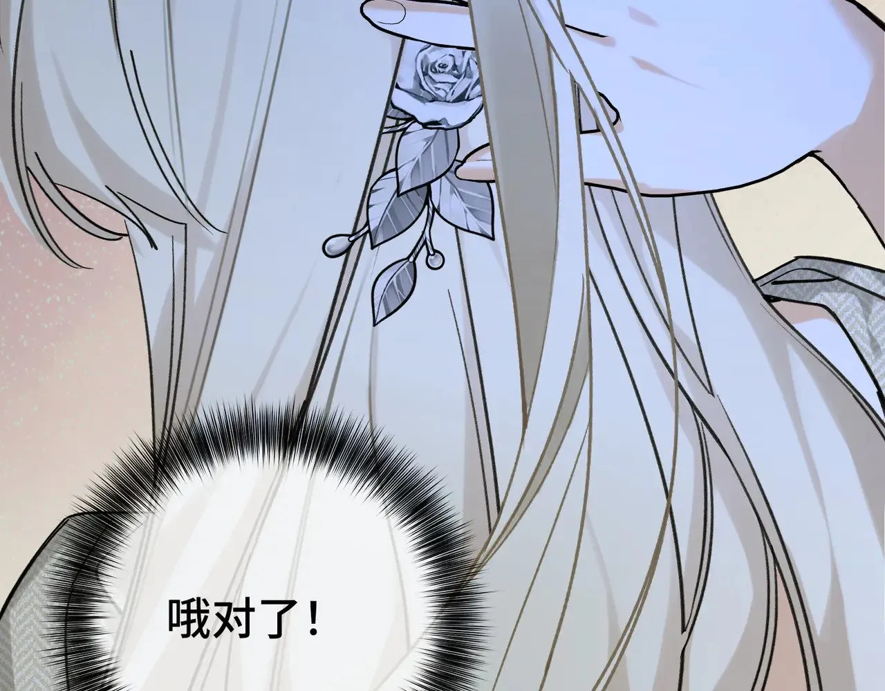 第216页