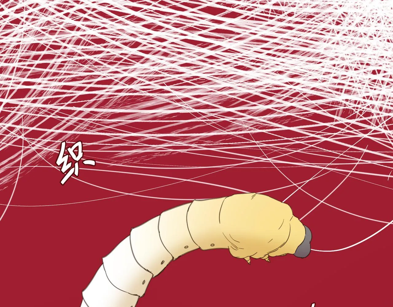 第429页