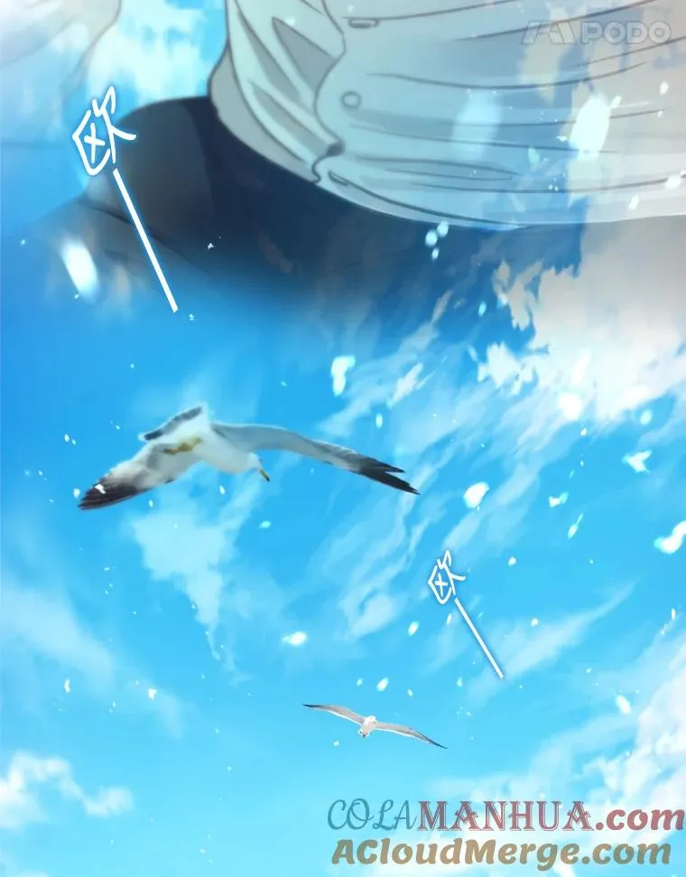 第216页