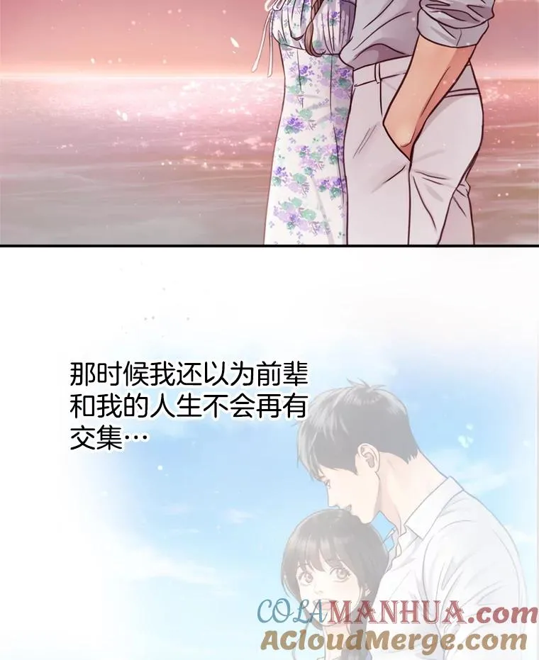 第228页