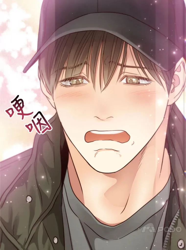 第240页