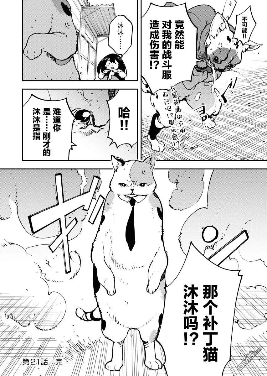 第54页